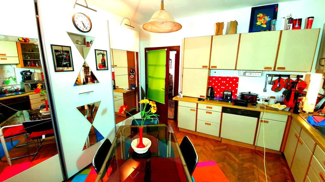Vila Paul Best Paronamic View Over Medieval Historical Centre ブラショフ エクステリア 写真